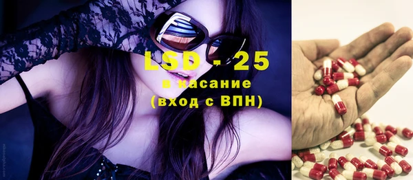 трава Медвежьегорск